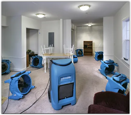 Mold Remediation & Removal in Ridgewood village, NJ