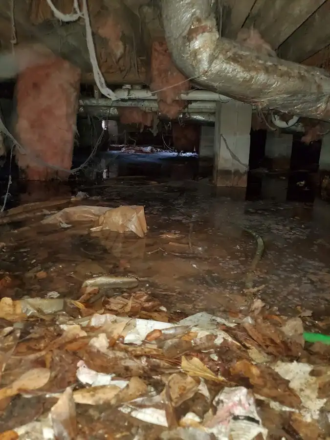 Crawl space flood assessment for Commercial Water Damage Restoration in Ridgewood village