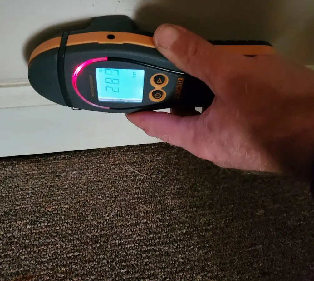 Moisture detection at baseboard during Sewage Cleanup & Sanitation in Ridgewood village